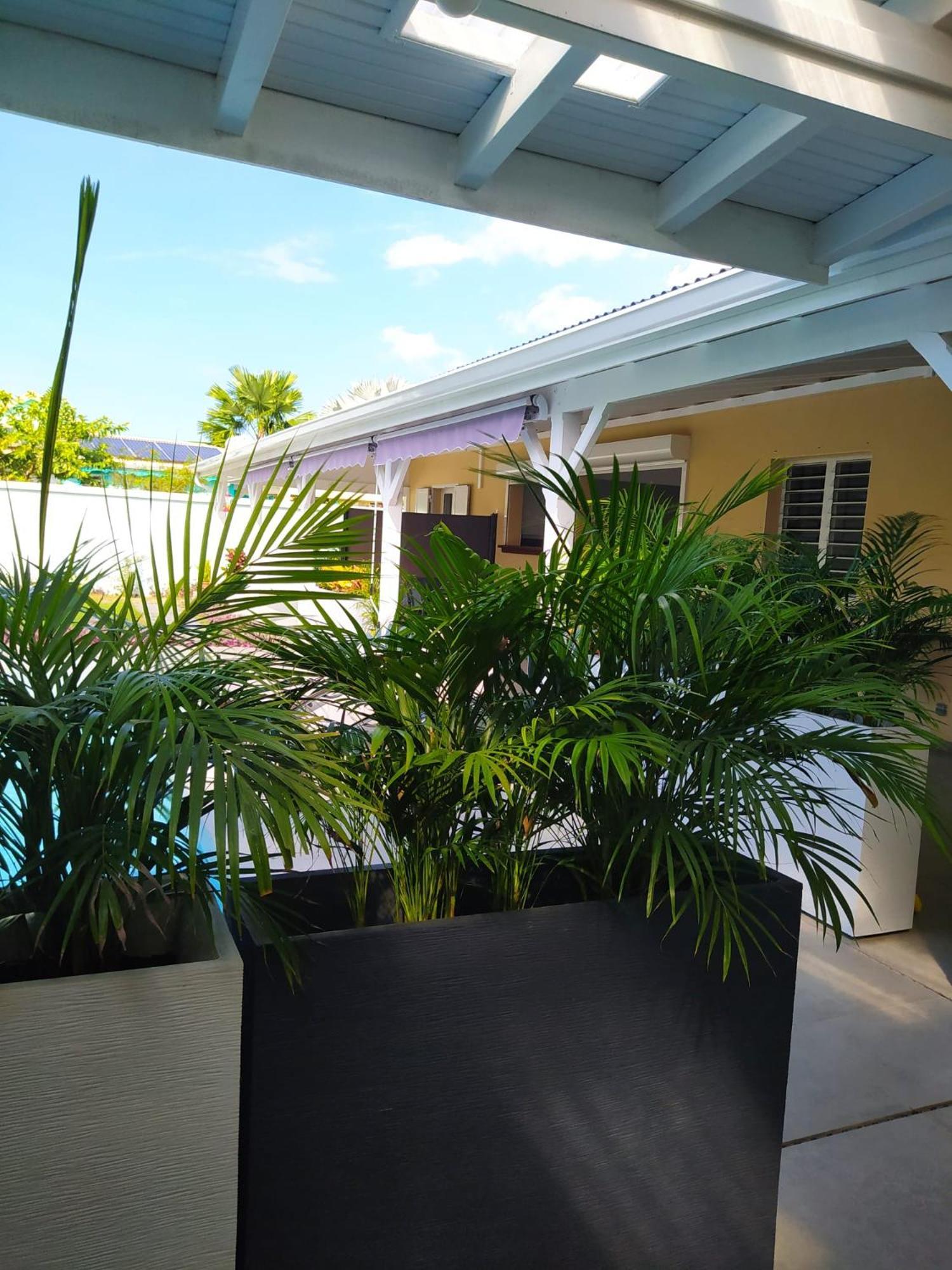 Villa Creolena Anse-Bertrand Exterior foto